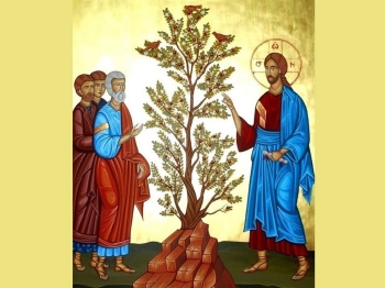 granello_di_senape_NSL