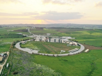 American University of Madaba