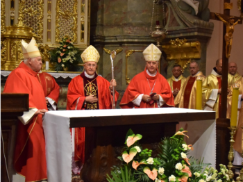 Le VIII giornate a Miecow - 2
